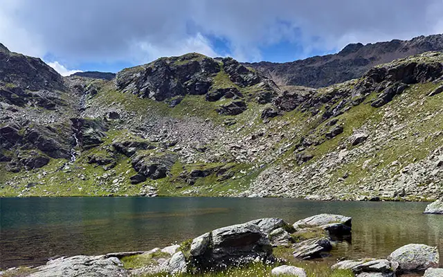 Il Banco Ottico Digitale