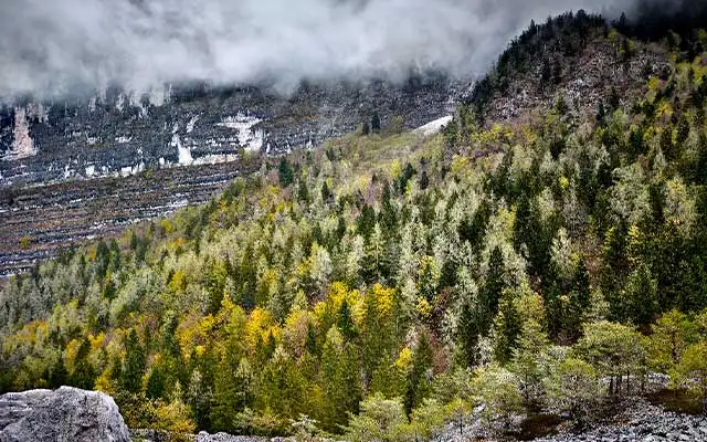 Lo status symbol dei Megapixel