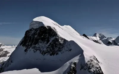 Intelligenza artificiale: una risorsa tutta da scoprire!