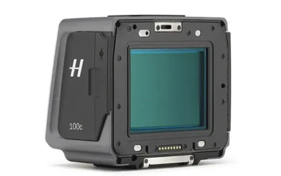 Dorso Digitale… una scelta impegnativa